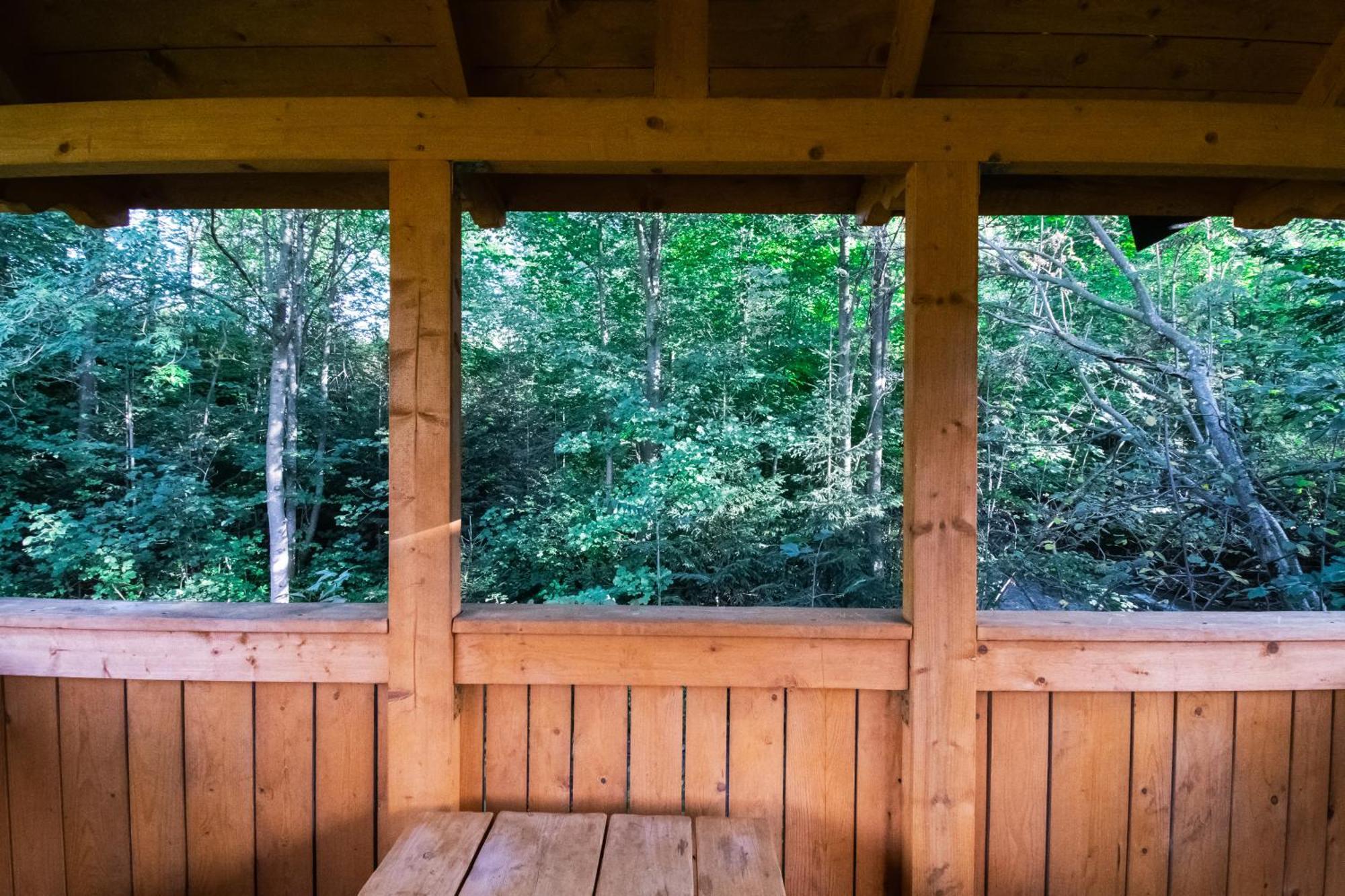 Apartamenty Jasiowe Turnie Nr 3 I Nr 10 Krupowki 3Km Kościelisko Buitenkant foto